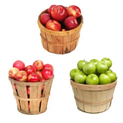 Brighter Blooms Sales 29 3 In 1 Apple Tree