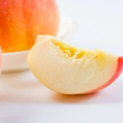 Belle Of Georgia Peach -Brighter Blooms Sales Belle of Georgia 3