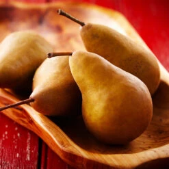 Bosc Pear Tree 8 Bosc Pear Tree -Brighter Blooms Sales Bosc pears 2 BB