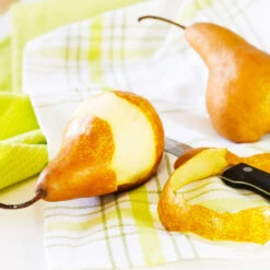 Bosc Pear Tree 9 Bosc Pear Tree -Brighter Blooms Sales Bosc pears 3 BB