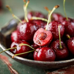 Brooks Cherry Tree -Brighter Blooms Sales Brooks Cherry Tree 3 BB