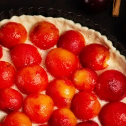 Bubblegum 'Toka' Plum Tree -Brighter Blooms Sales Bubblegum Toka Plum 3