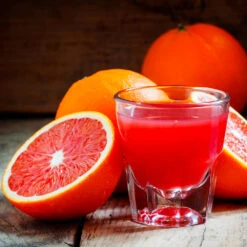 Cara Cara Navel Orange Tree -Brighter Blooms Sales Cara Cara Orange 4 BB 0768edc6 62c2 4c3e 8c6e 7225322b2fc4