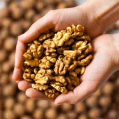 Chandler Walnut Tree -Brighter Blooms Sales Chandler Walnut 2 BB