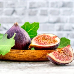 Chicago Hardy Fig Tree -Brighter Blooms Sales Chicago Hardy Fig 4 BB