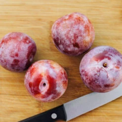 Dapple Dandy Pluot Tree -Brighter Blooms Sales Dapple Dandy 2