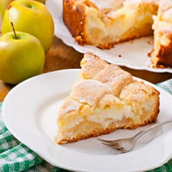 Dorsett Golden Apple Tree -Brighter Blooms Sales Dorsett Apple 4