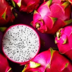 Dragon Fruit Cactus -Brighter Blooms Sales Dragon Fruit Cactus 6 BB