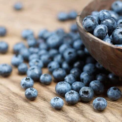 Emerald Blueberry Bush -Brighter Blooms Sales Emerald Blueberries 1