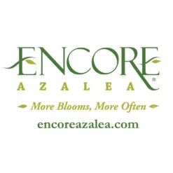 Autumn Angel® Encore® Azalea Shrub -Brighter Blooms Sales Encore Logo 1000x1000 1b6bfdae 4d4e 45ec 9d82 cace6275e77a