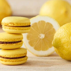 Eureka Lemon Tree -Brighter Blooms Sales Eureka Lemon Tree 2 BB