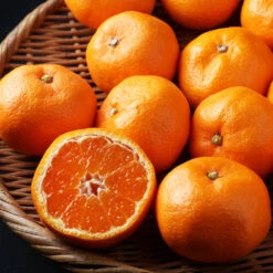 Kishu Mandarin Tree 10 Kishu Mandarin Tree -Brighter Blooms Sales Kishu Mandarin Tree 3 BB