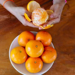 Nules Clementine Tree 8 Nules Clementine Tree -Brighter Blooms Sales Nules Clementine 4 BB