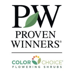 Bobo® Hydrangea Shrub -Brighter Blooms Sales PW Logo CC 1000x1000 022e3f9a 3412 496d b414 bbbd569d5150