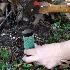 Palm Tree Fertilizer Spikes -Brighter Blooms Sales Palm Spikes 3