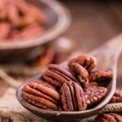 Pawnee Pecan Tree -Brighter Blooms Sales Pawnee Pecan 3 BB