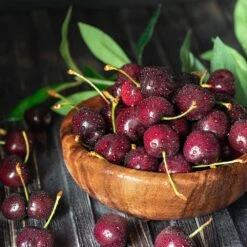Skeena Cherry Tree -Brighter Blooms Sales Skeena Cherry 3 BB