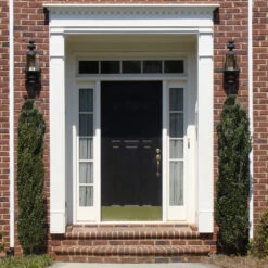 Sky Pencil Holly Tree -Brighter Blooms Sales Sky Pencil Holly 3 BB