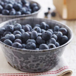 Sweetheart Blueberry Bush -Brighter Blooms Sales Sweetheart BLueberry 4