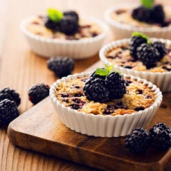 Thornless Blackberry Bush 8 Thornless Blackberry Bush -Brighter Blooms Sales Thornless Blackberry 2