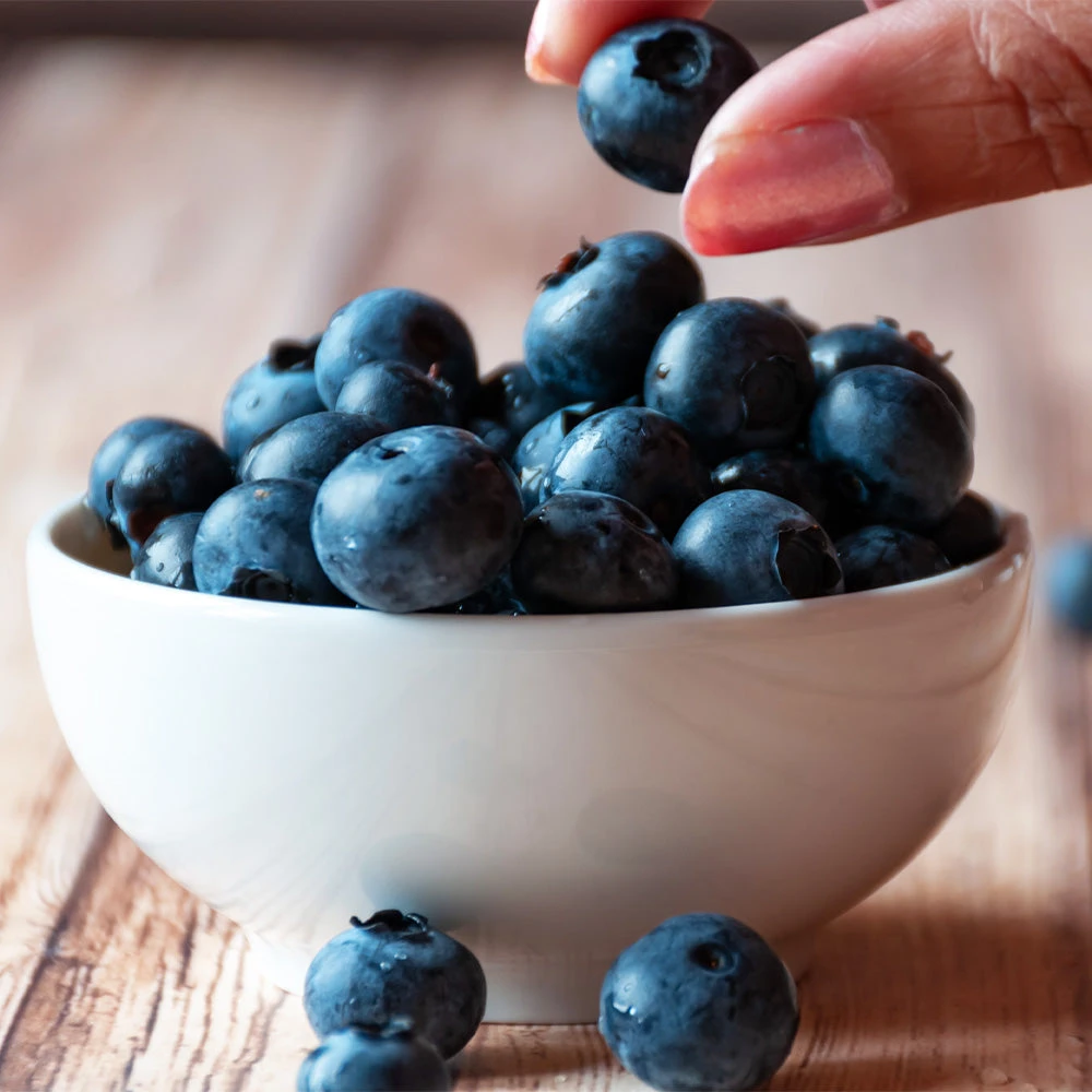 Top Hat Blueberry Bush 5 Top Hat Blueberry Bush - Image 3