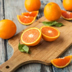 Valencia Orange Tree -Brighter Blooms Sales Valencia Orange 2 BB