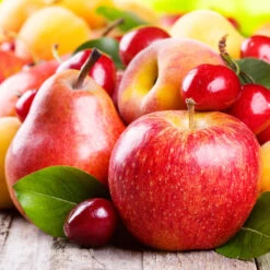 Orchard Kit 9 Orchard Kit -Brighter Blooms Sales orchard kit 310024f8 9b56 436e 9e62 84dab023b0cb